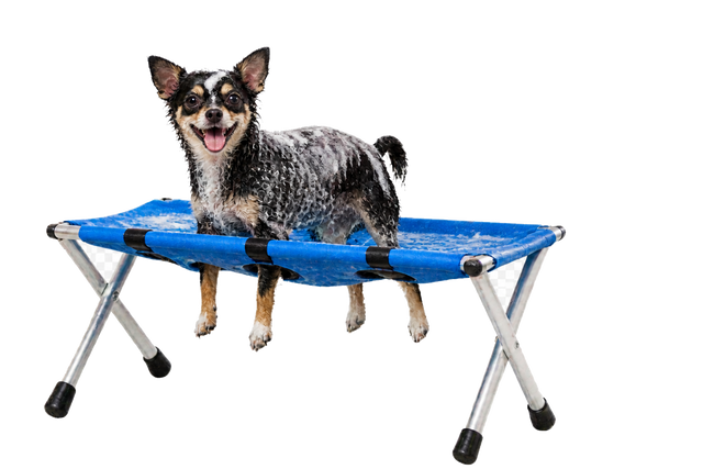 Un cane insaponato sullo sgabello PetBath